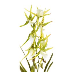 Floare artificiala Orhidee Spider galben verde 67 cm2