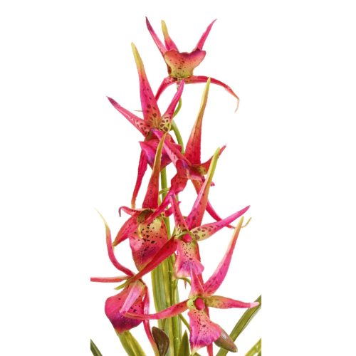 Floare artificiala Orhidee Spider roz 67 cm2