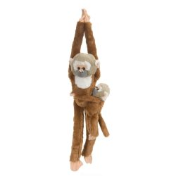 Maimuta care se agata Maimuta Veverita cu pui