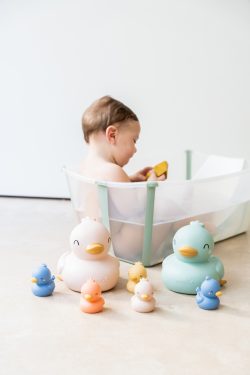 jucarii de baie little ducks 365181