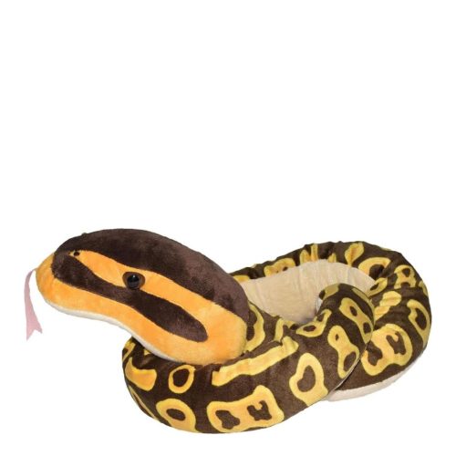 Sarpe BALL PYTHON