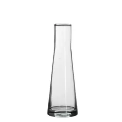 Vaza de sticla Ixia 21x7 cm