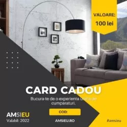 Card cadou 100 lei amsieu.ro 1