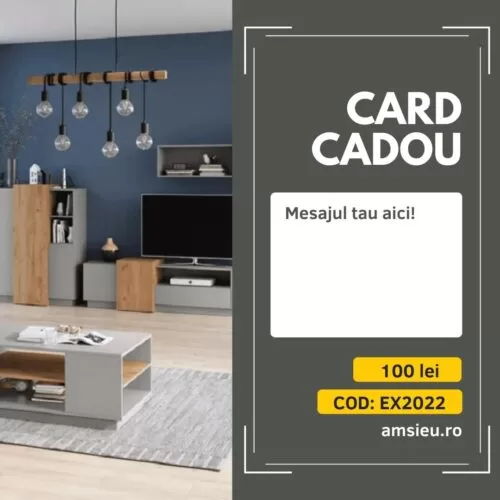 Card cadou 100 lei amsieu.ro 2