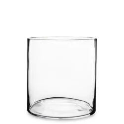 Vaza sticla transparenta 22x20.5 cm