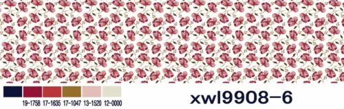 XWL9908 6 1 scaled 1