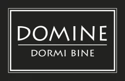 logo DOMINE 250