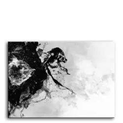 Tablou canvas Abstract cadru lemn alb negru 50x70 cm