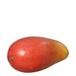 Mango artificial decorativ rosu-galben – 15 cm
