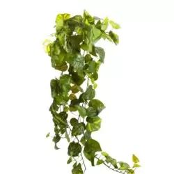 Pothos, planta artificiala curgatoare verde – 80 cm