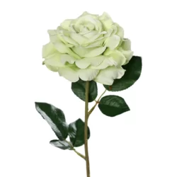 Trandafir artificial verde-crem – 56 cm