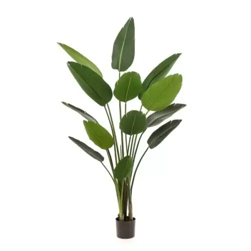 planta artificiala strelitzia in ghiveci 190cm 419841 373