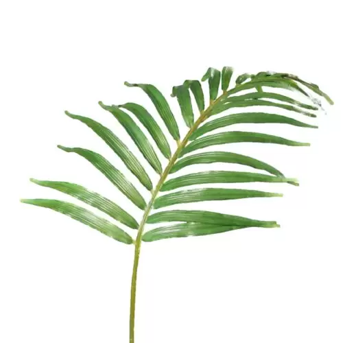 Frunza artificiala tropicala MASCARENA verde – 81 cm