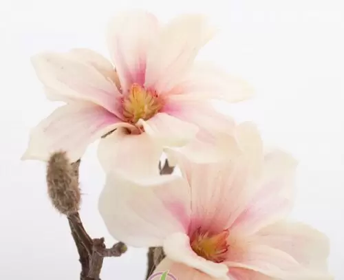 aranjament magnolia artificiala crem roz 23 cm 982