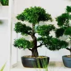 bonsai artificial decorativ in ghiveci 1570