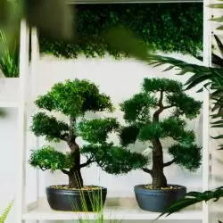 bonsai artificial decorativ in ghiveci 2262
