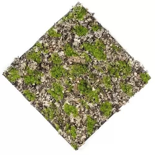 covor muschi artificiala verde gri 50x50 cm 2125