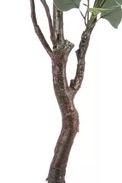 eucalipt artificial decorativ in ghiveci 180 cm 2096