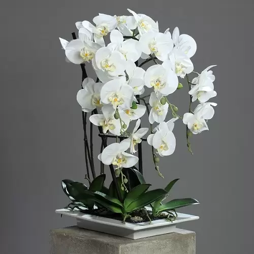 orhidee artificiala alba in ghiveci 956