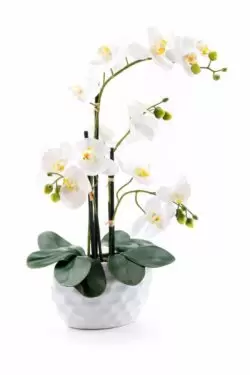 orhidee artificiala alba in ghiveci ceramic 59 cm 1024