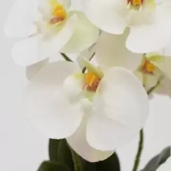 orhidee artificiala in ghiveci 1493