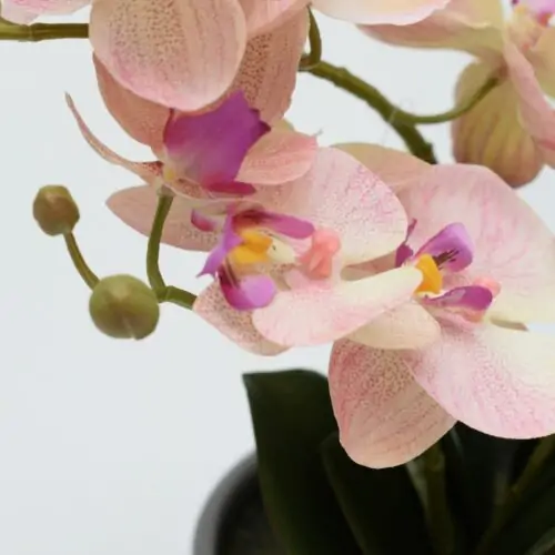 orhidee artificiala roz crem in ghiveci ceramic 35 cm 1495