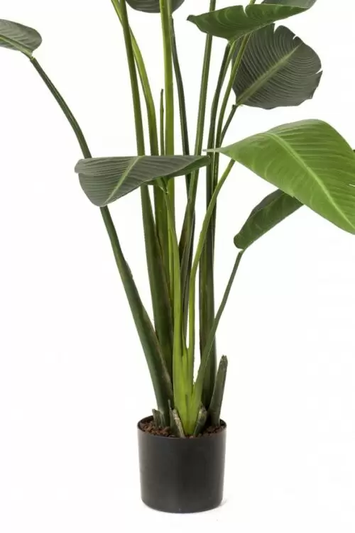 planta artificiala strelitzia in ghiveci 190 cm 2066
