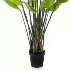 planta artificiala strelitzia palm in ghiveci 200 cm 665
