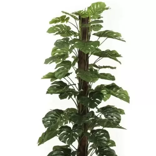 planta artificiala monstera in ghiveci 210 cm 385