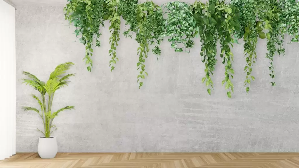 Plante curgatoare artificiale pentru decorarea interioara: idei si sugestii de la amsieu.ro