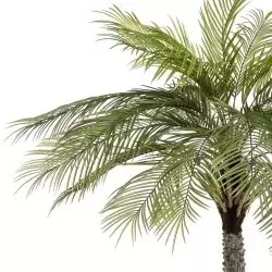 palmier artificial decorativ phoenix in ghiveci 160 cm 2733