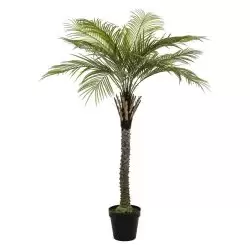 palmier artificial decorativ phoenix in ghiveci 220 cm 2743