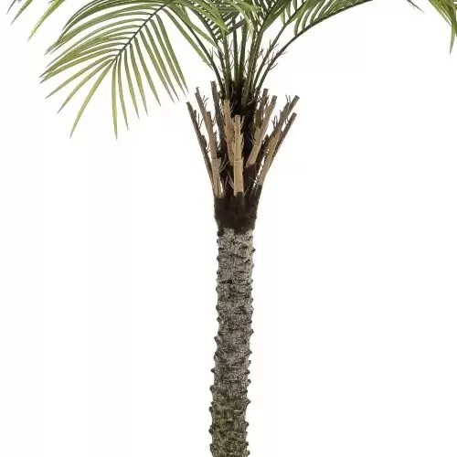 palmier artificial decorativ phoenix in ghiveci 220 cm 2775
