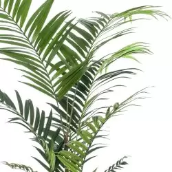 palmier artificial kentia in ghiveci 210 cm 2708