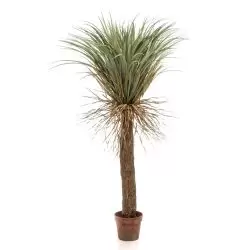 copac artificial yucca wild 150 cm 3147