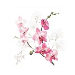 Servetele de masa 33x33 cm Orchid Ambiente