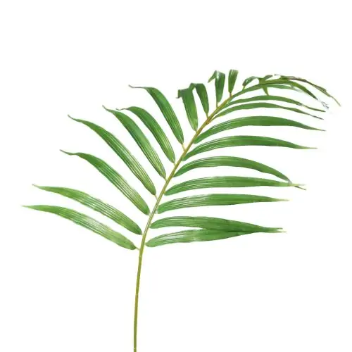 frunza artificiala tropicala mascarena verde 81 cm 64