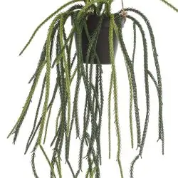 planta artificiala curgatoare rhypsalis in ghiveci 85 cm 3903