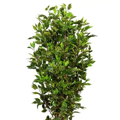 ficus artificial benjamina verde cu trunchi natural uv 150 cm 4682