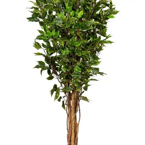 ficus artificial benjamina verde cu trunchi natural uv 150 cm 4683